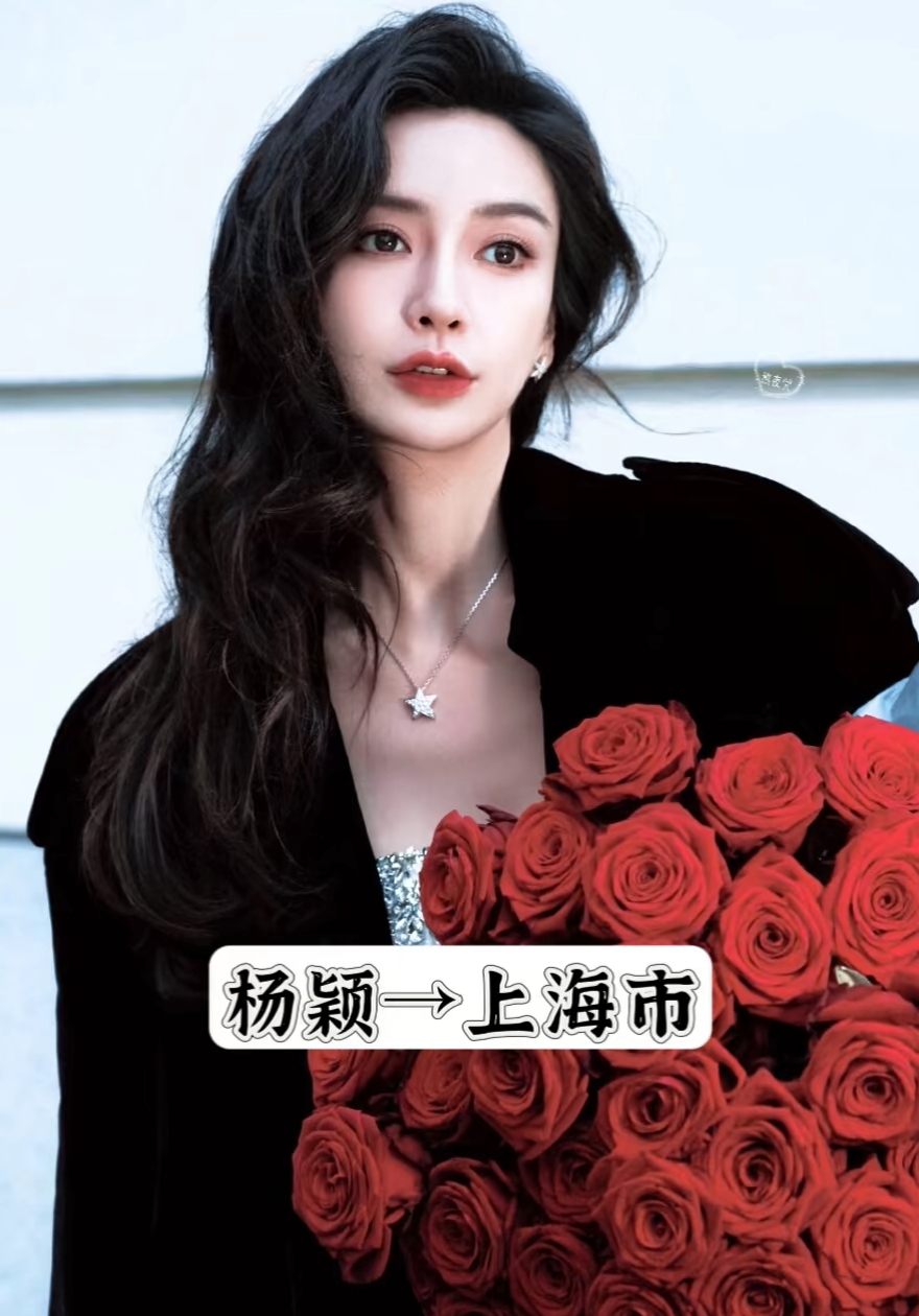 明星八卦网站官网明星八卦网，娱乐世界的焦点与探索