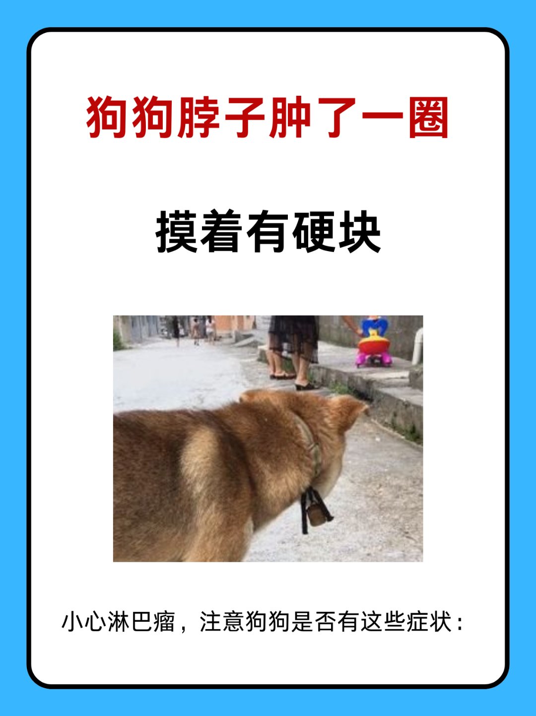狗狗的硬与烫体验-第2张图片