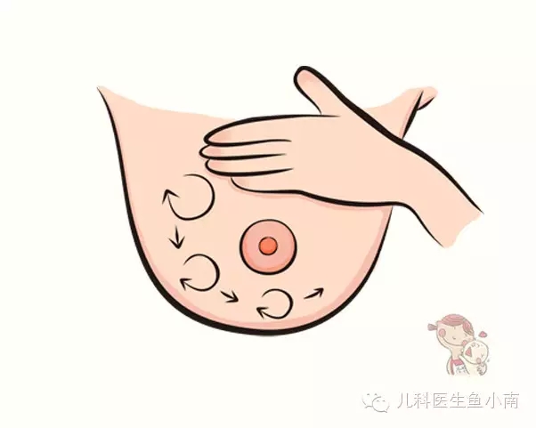 小学生如何安全有效地挤出牛奶-第2张图片