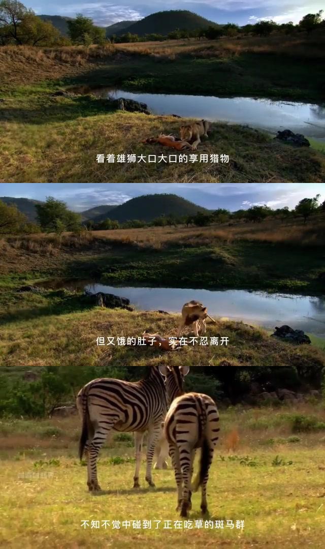 疯狂猜图38疯狂猜图38，一场视觉与智慧的较量-第1张图片