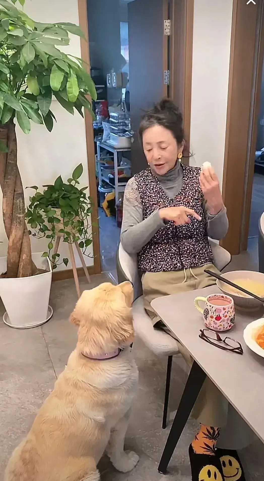 中文在线，昔日喜爱，最新版体验-第2张图片