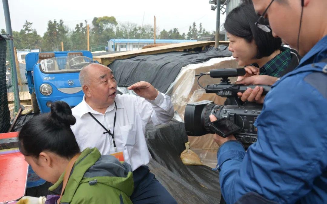 国精产品一二三四线免费解析-第2张图片