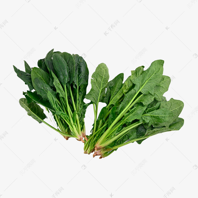 菠菜影院，探索电影艺术的绿色空间-第2张图片