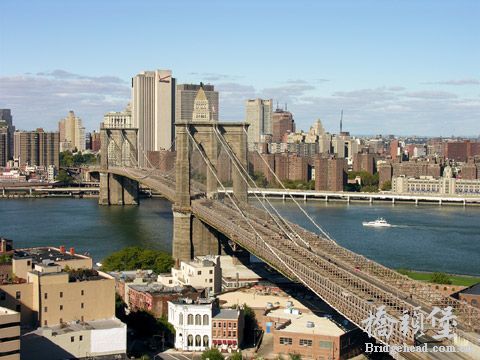 比斯论坛，全球思想交流的桥梁-第2张图片