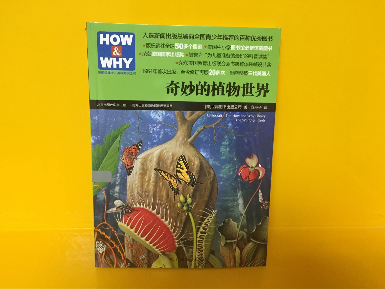 多了一个多了一个的奇妙世界
