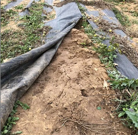 草草发地布邮箱草草最新发布，揭秘wy37地扯的魅力与价值-第1张图片