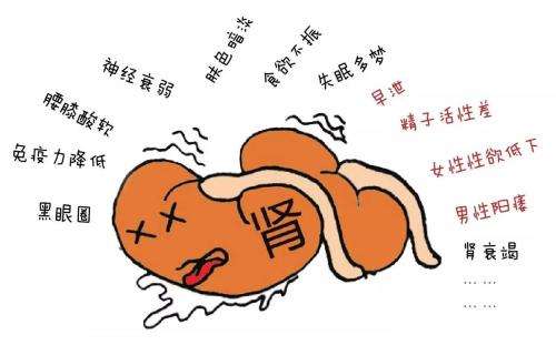 肾虚18连最新网站探索肾虚的秘密，十八黑料TTTZZZ的解析