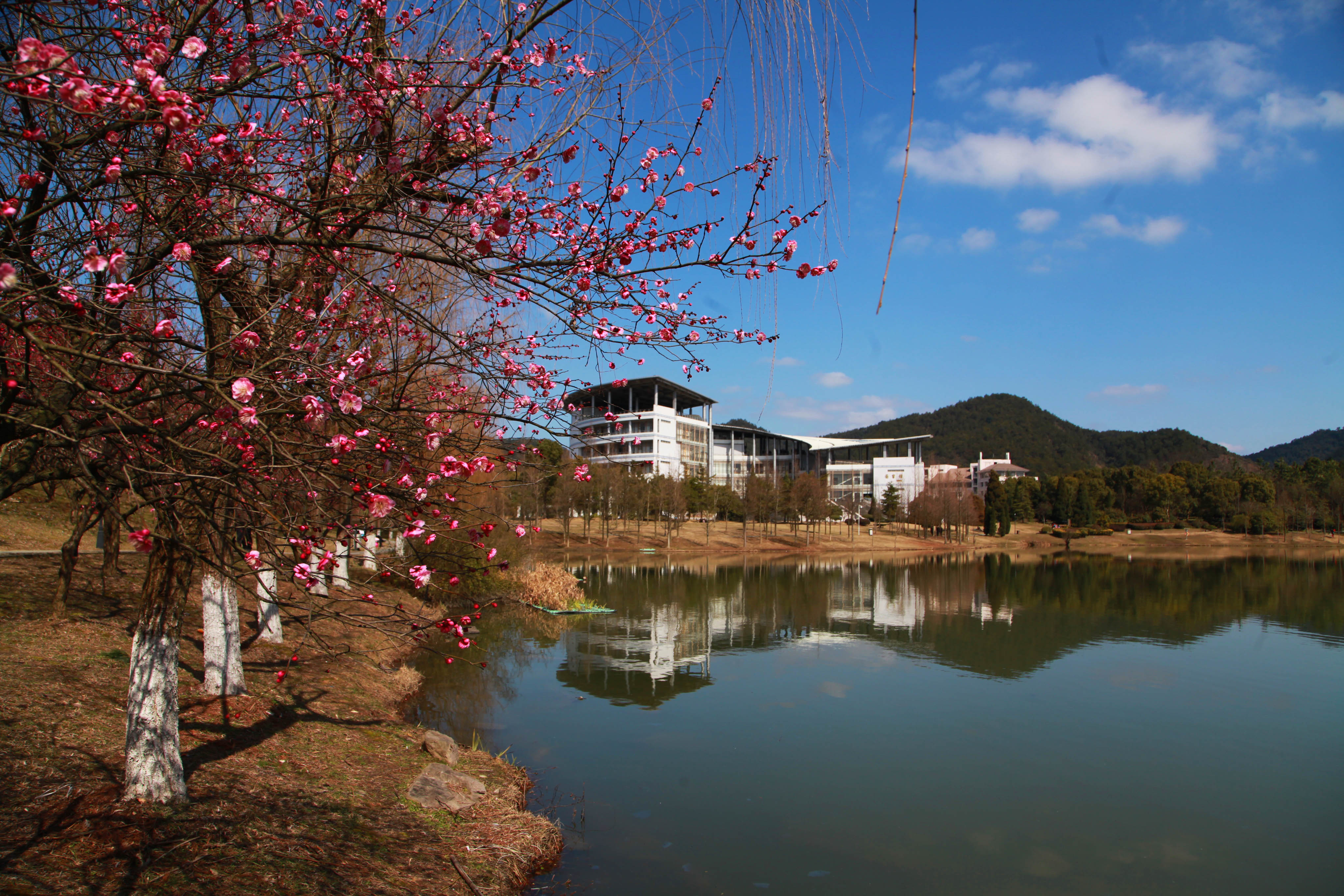 浙江农林大学夏婧茹照片高清浙江农林大学夏婧茹照片，一位美丽与才华并存的女大学生