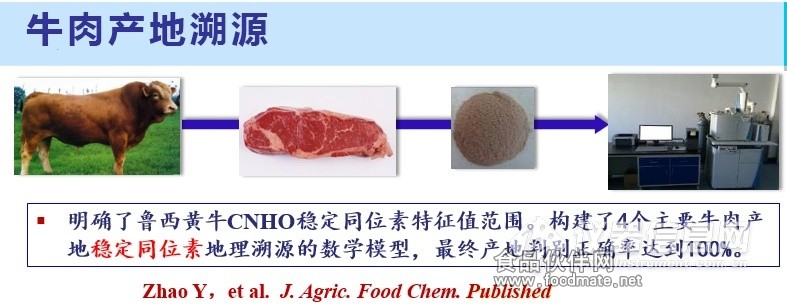 有机zz现在的网址探索有机zz的现代之旅，解析其现状与现今的网址-第1张图片