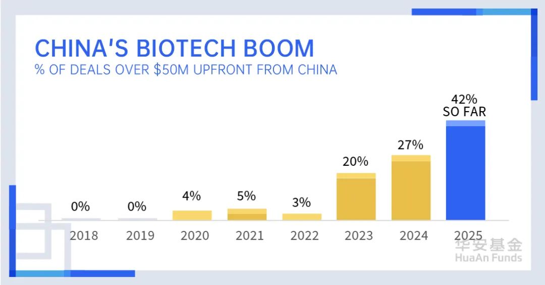 中国XXXXXL的崛起与17年的辉煌历程