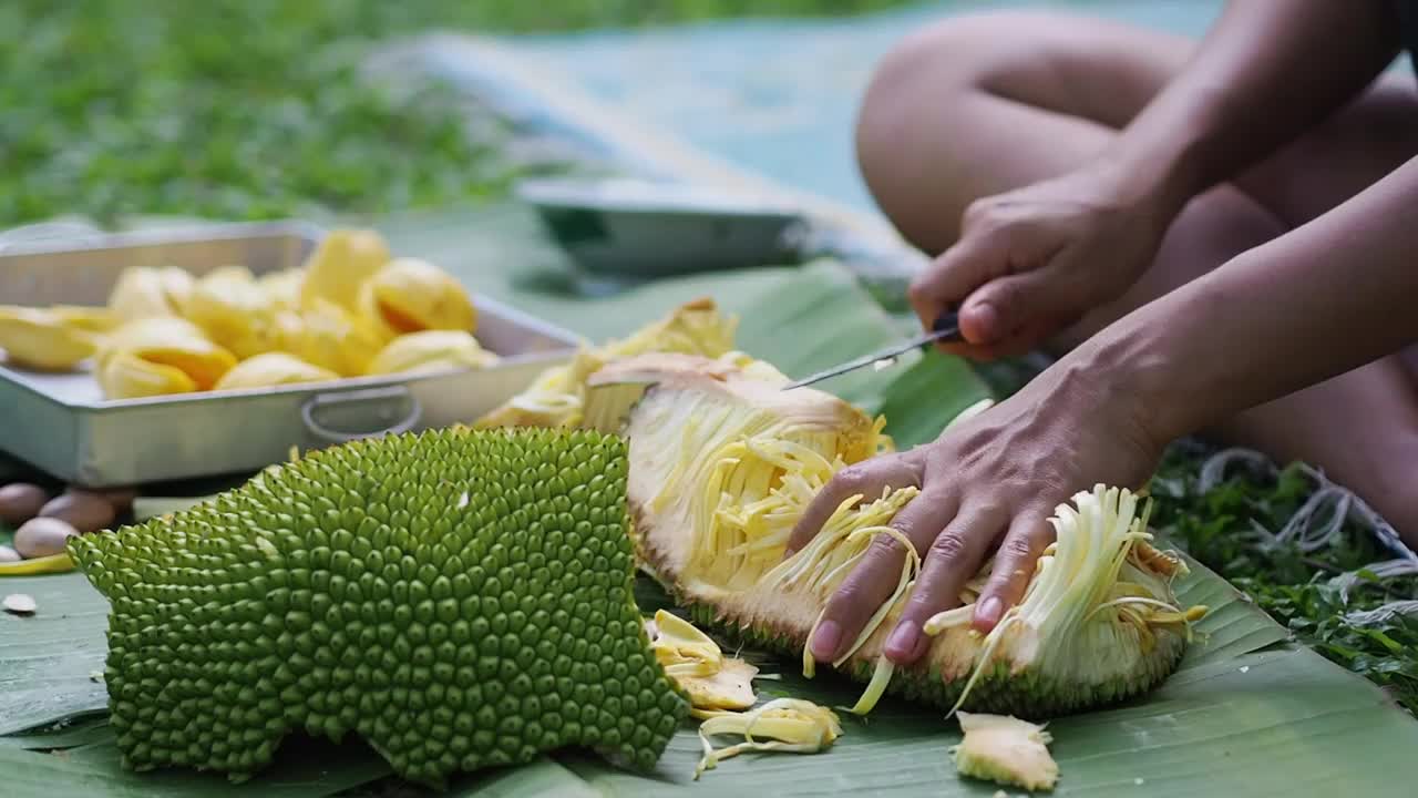 菠萝蜜视频在线播放观看免费菠萝蜜视频在线播放观看免费体验-第2张图片