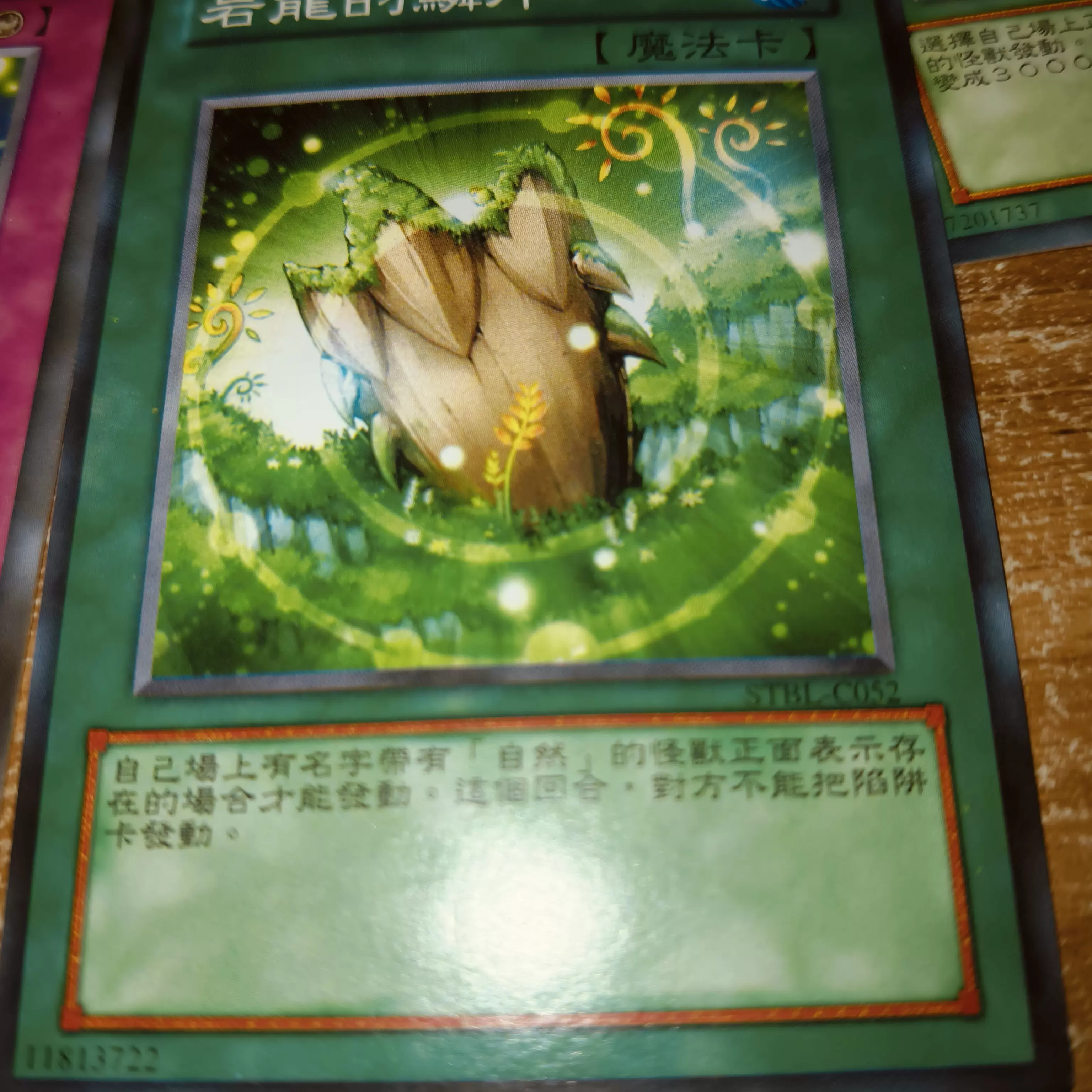 经典卡组咆哮德咆哮德卡组，炉石传说的绿色风暴-第2张图片