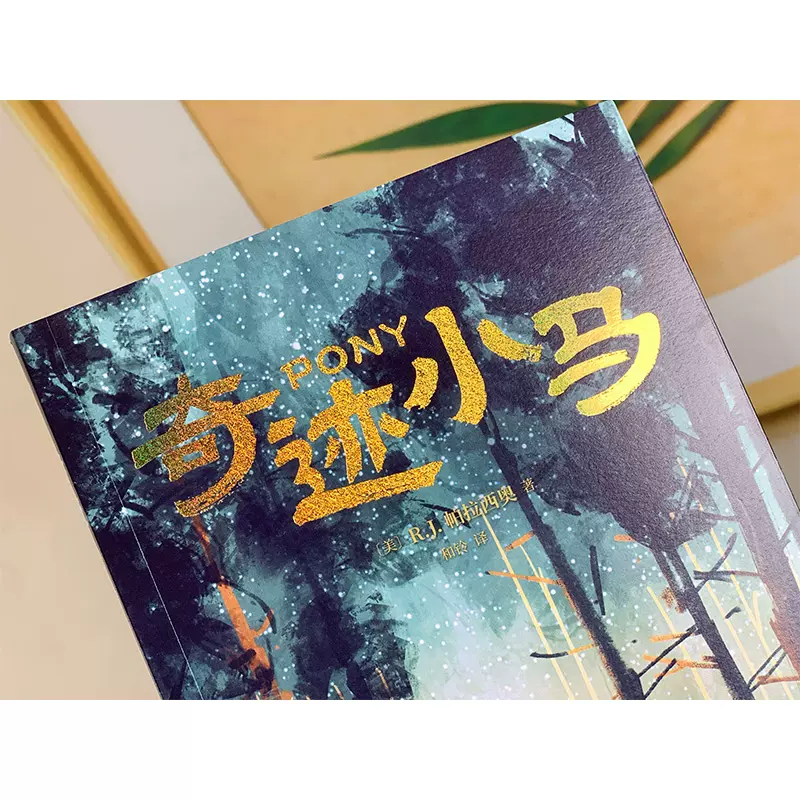 四川九久影视有限公司艺人——璀璨星途的探索与展望-第2张图片