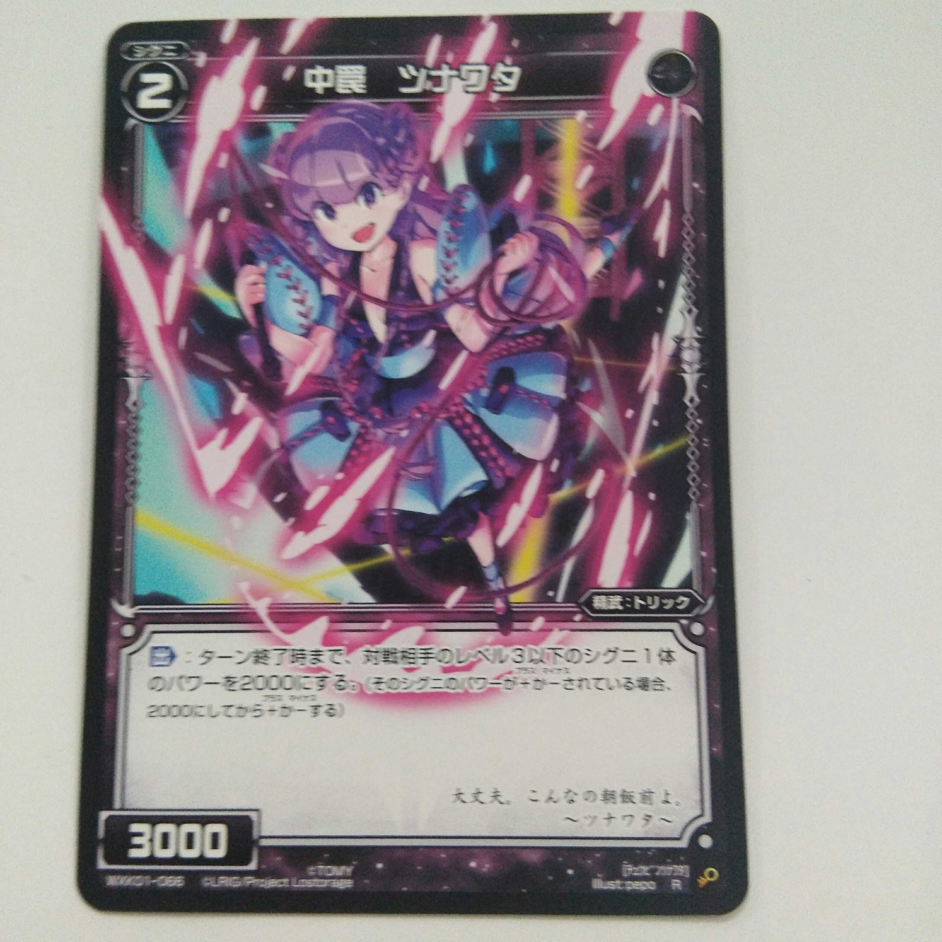 dsr-1探索神秘世界，DSR-1的奥秘