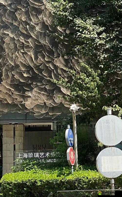 顶级人文艺术欣赏，大而深邃的探索-第2张图片