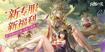闪烁之光皮肤图鉴怎么看不了闪烁之光，皮肤图鉴的璀璨之旅