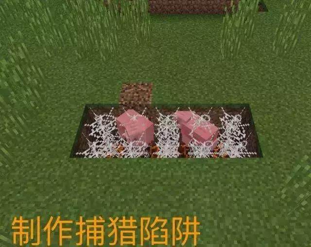 神秘的网络世界，秘密网站揭秘-第1张图片