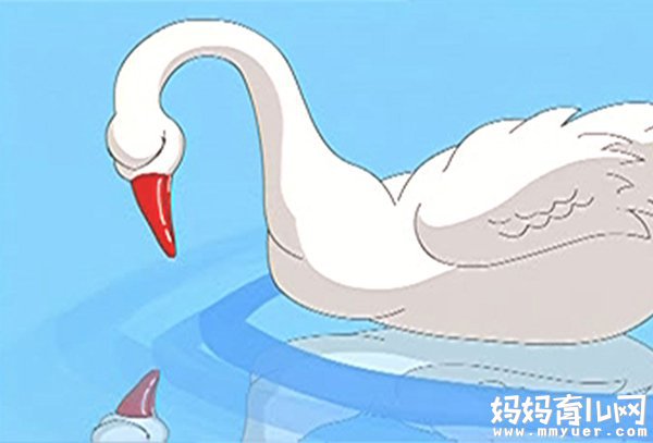 毛毛妈妈咪呀个人资料BGMBGMBGM妈妈毛多多的故事-第1张图片
