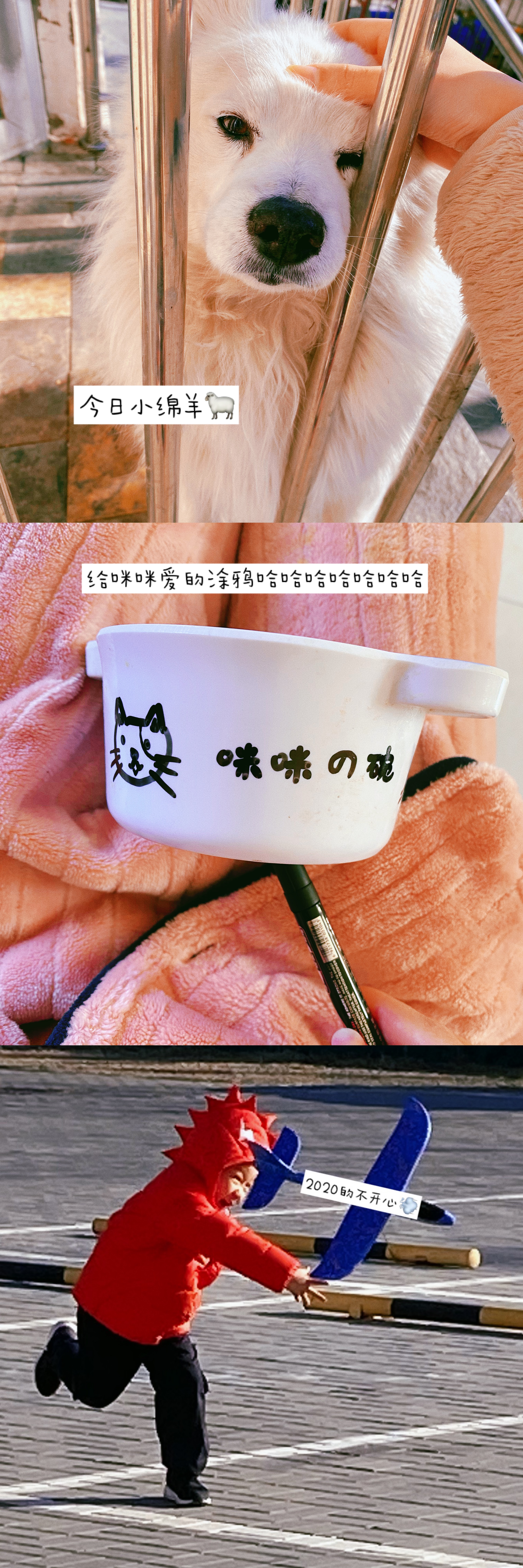 咪咪爱2017最新链接咪咪爱2017最新链接，探索网络世界的全新体验-第2张图片