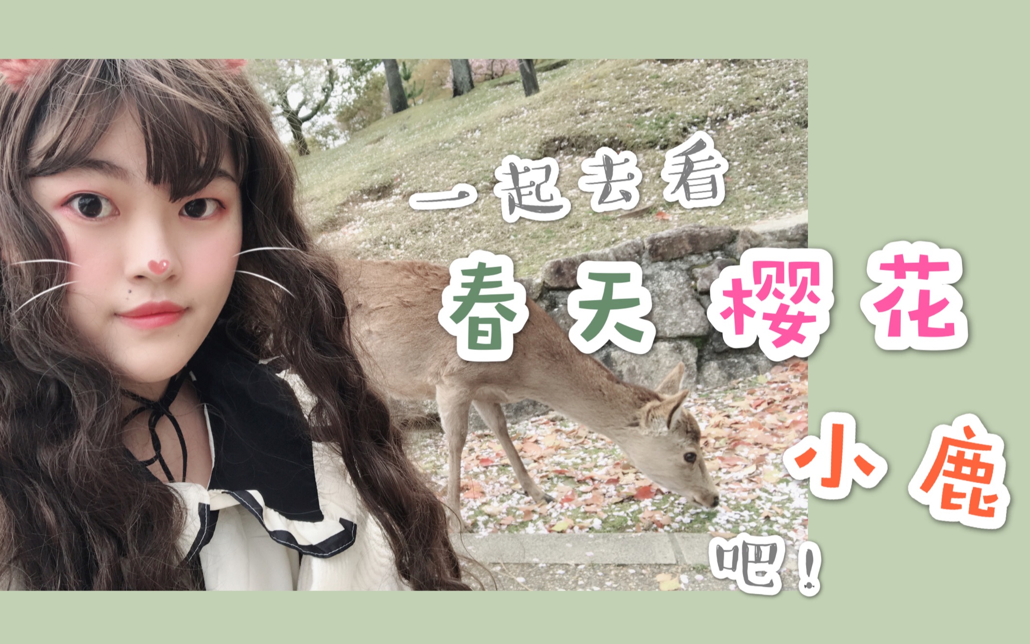 芭乐app下载芭乐app下载，探索数字生活的全新体验-第2张图片