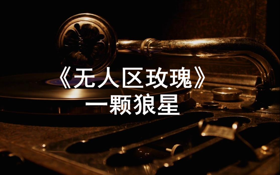 无人区玫瑰歌曲介绍无人区玫瑰MV观看指南