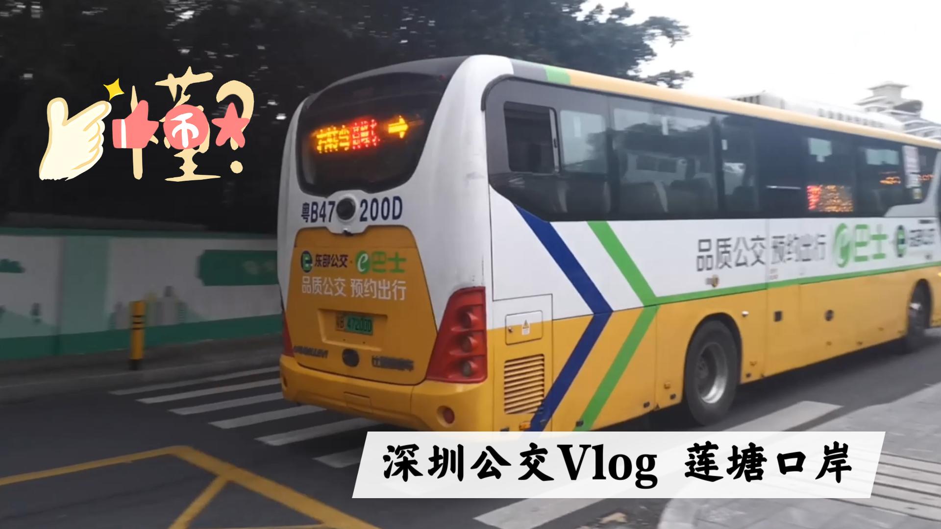 公交车上的疯狂运动之旅-第3张图片