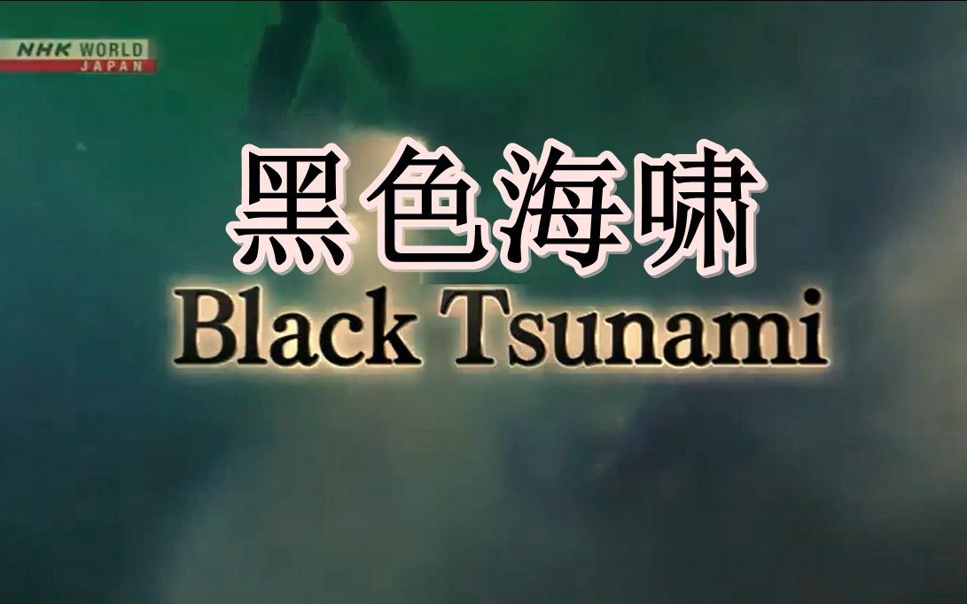2019中文字字幕23页2019年中文电影字幕技术发展概览-第2张图片