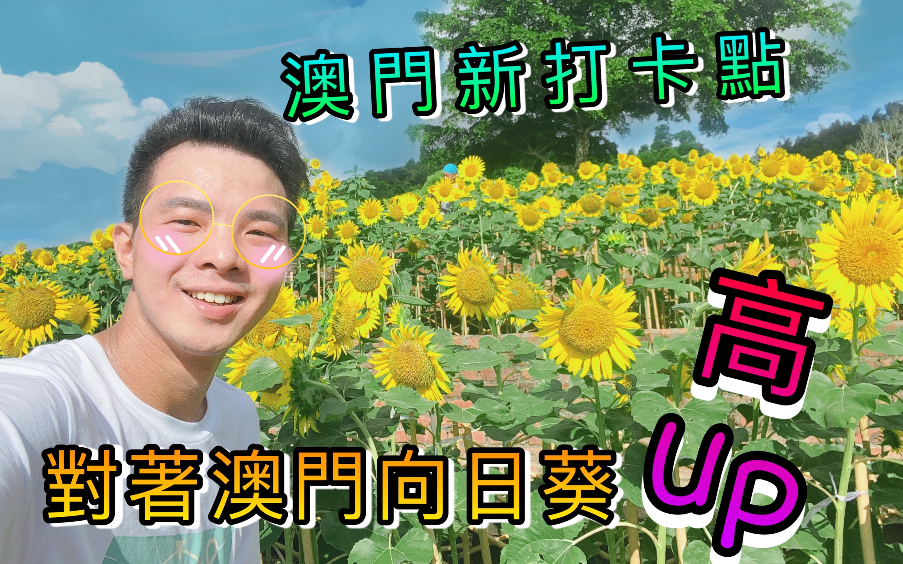 探索向日葵app官方网站，开启全新体验之旅-第1张图片