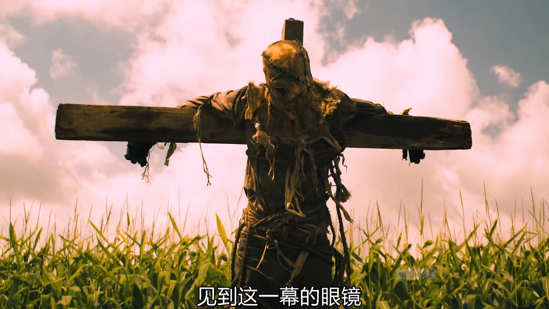 一直都在开车的电影全在开车没停过的剧，一部演绎人生百态的视觉盛宴