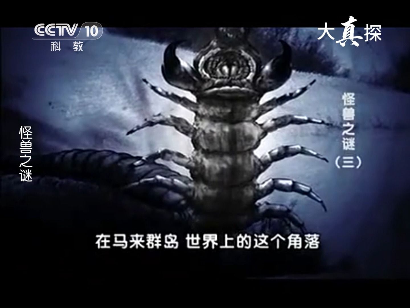 东方美人之谜——探寻比思的奥秘-第1张图片