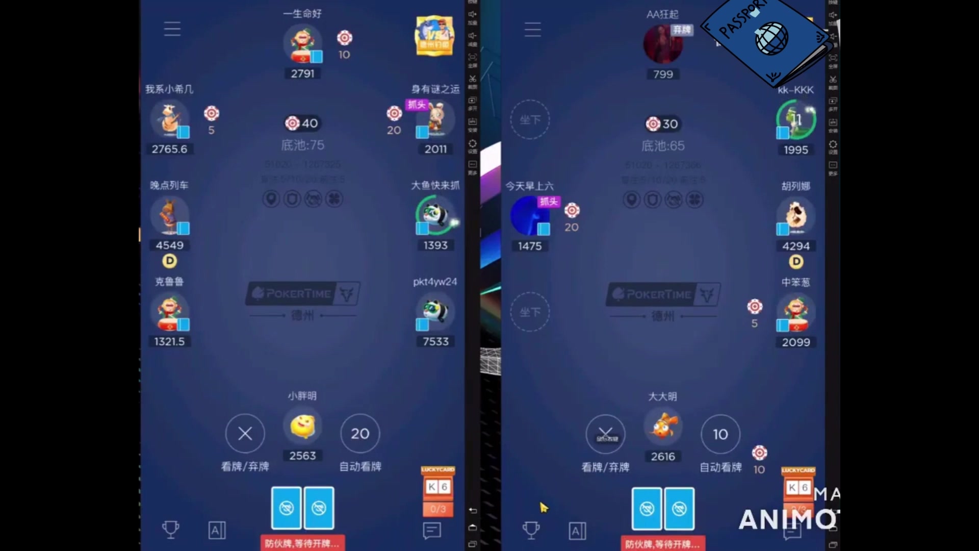 扑克时间视频免费夜间运动视频与扑克视频网站探索