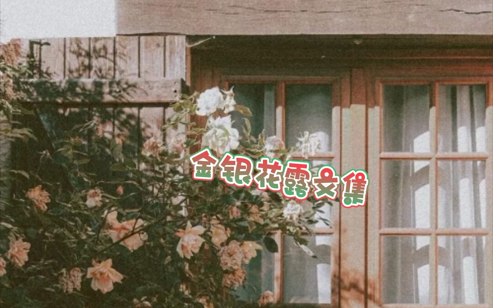 《姜可》金银花露全姜可与金银花露的室友奇缘-第2张图片