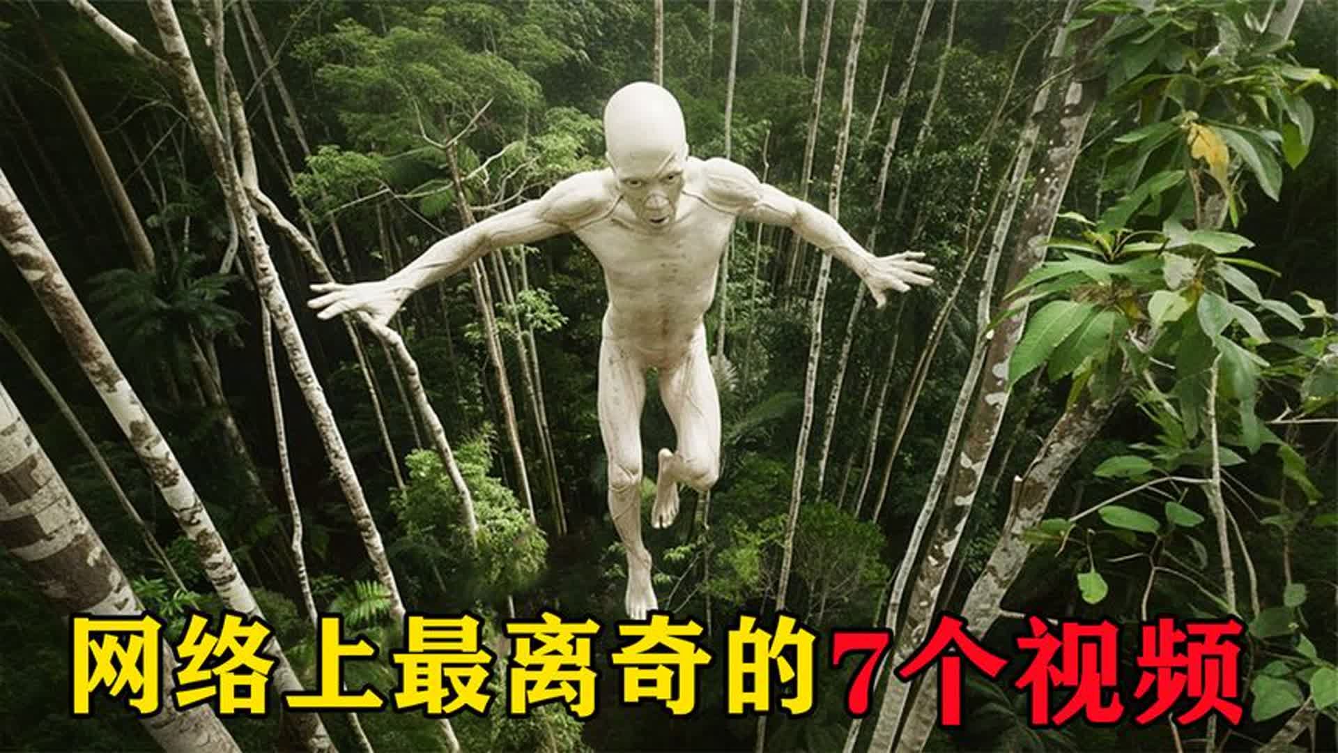 一个人看www片高清网络世界中的个人探索，关于观看网络视频的体验-第3张图片