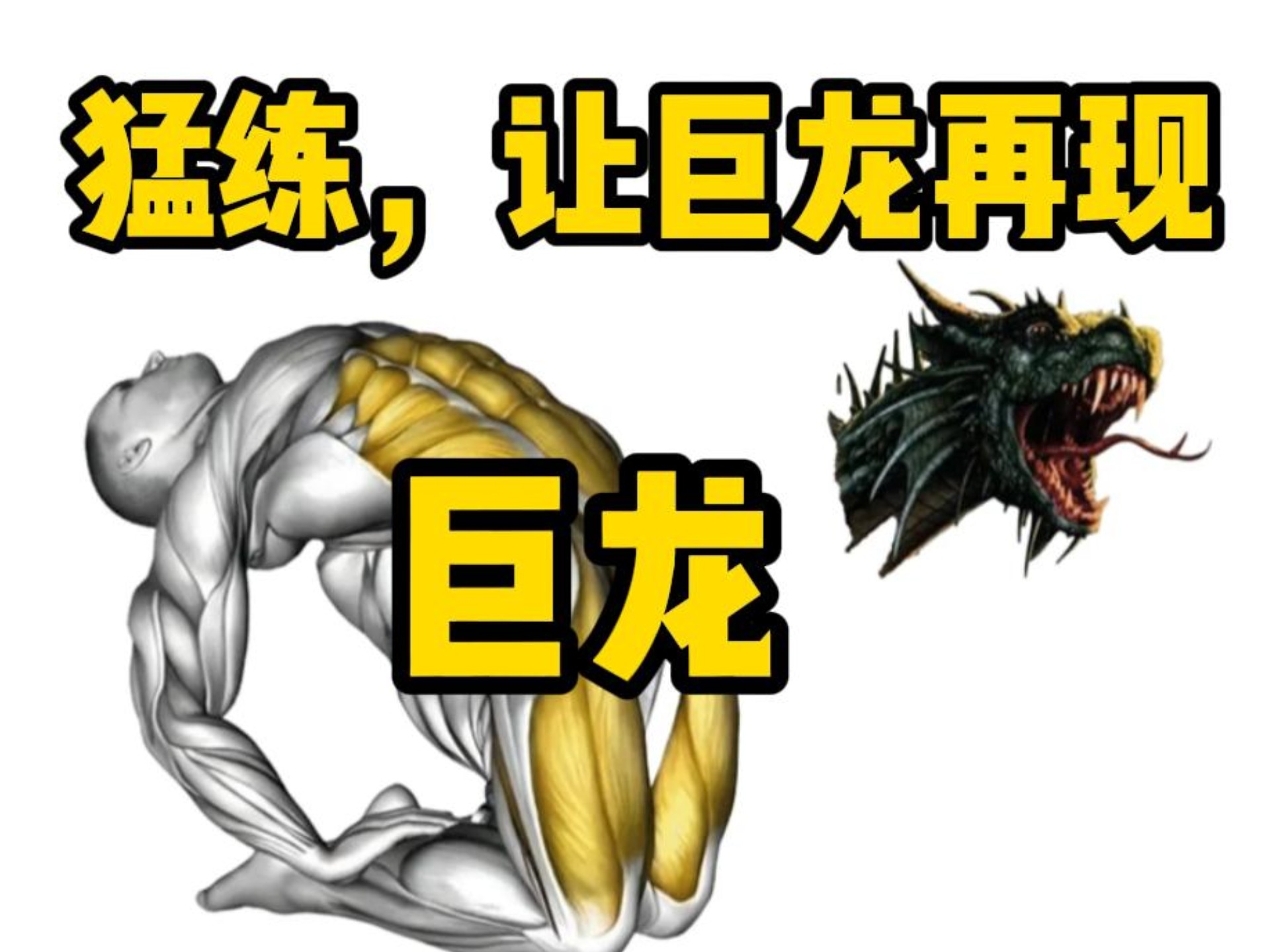 早上醒来发现巨龙还在巨龙之梦，早上醒来发现巨龙还在-第2张图片