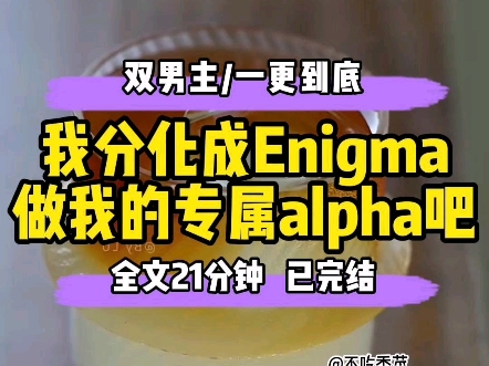 解开enigma的秘密，如何轻松打开alpha的育儿袋-第1张图片