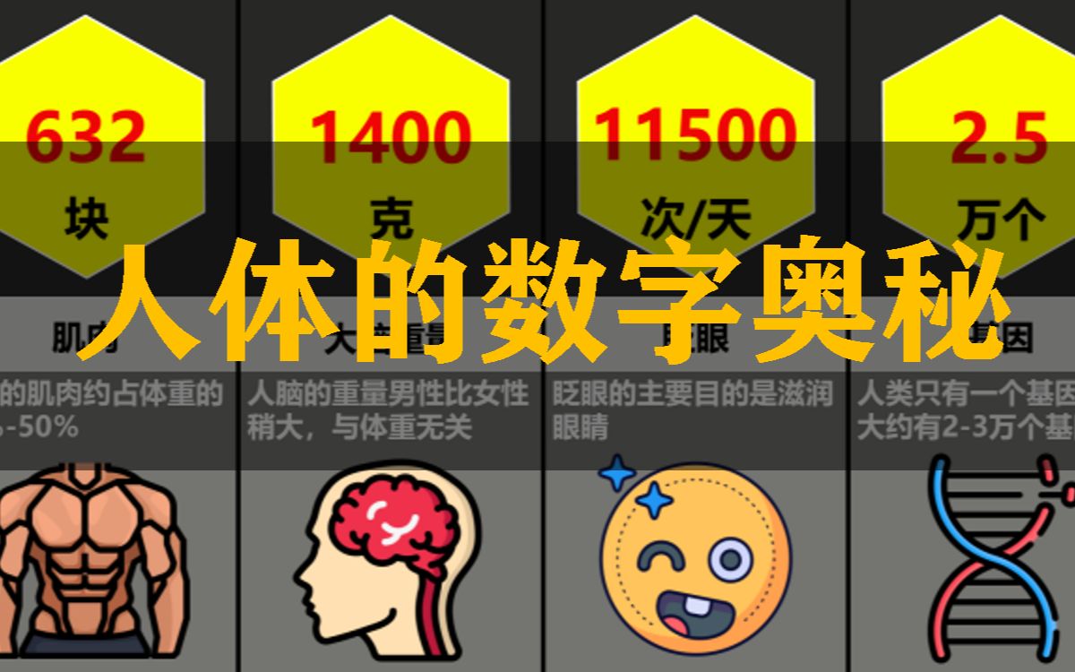 探索西西人体奥秘，深度解析44关键词-第2张图片