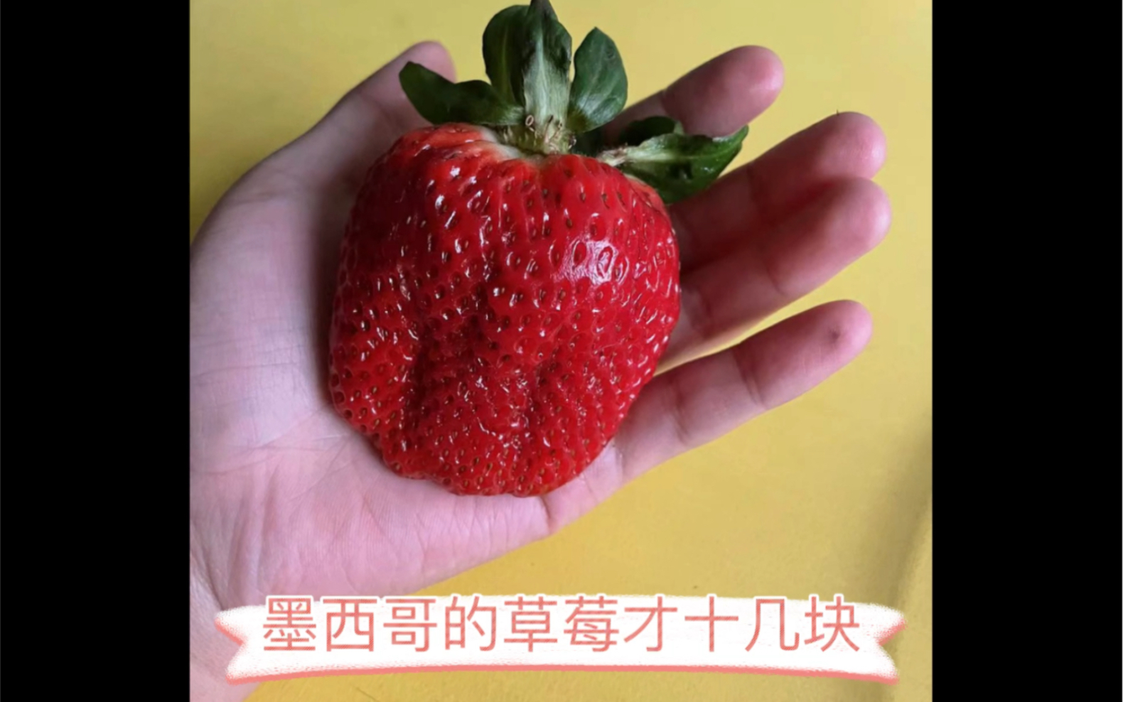 草莓tw深夜释放自己下载草莓TW深夜的自我探索之旅，如何安全下载与体验