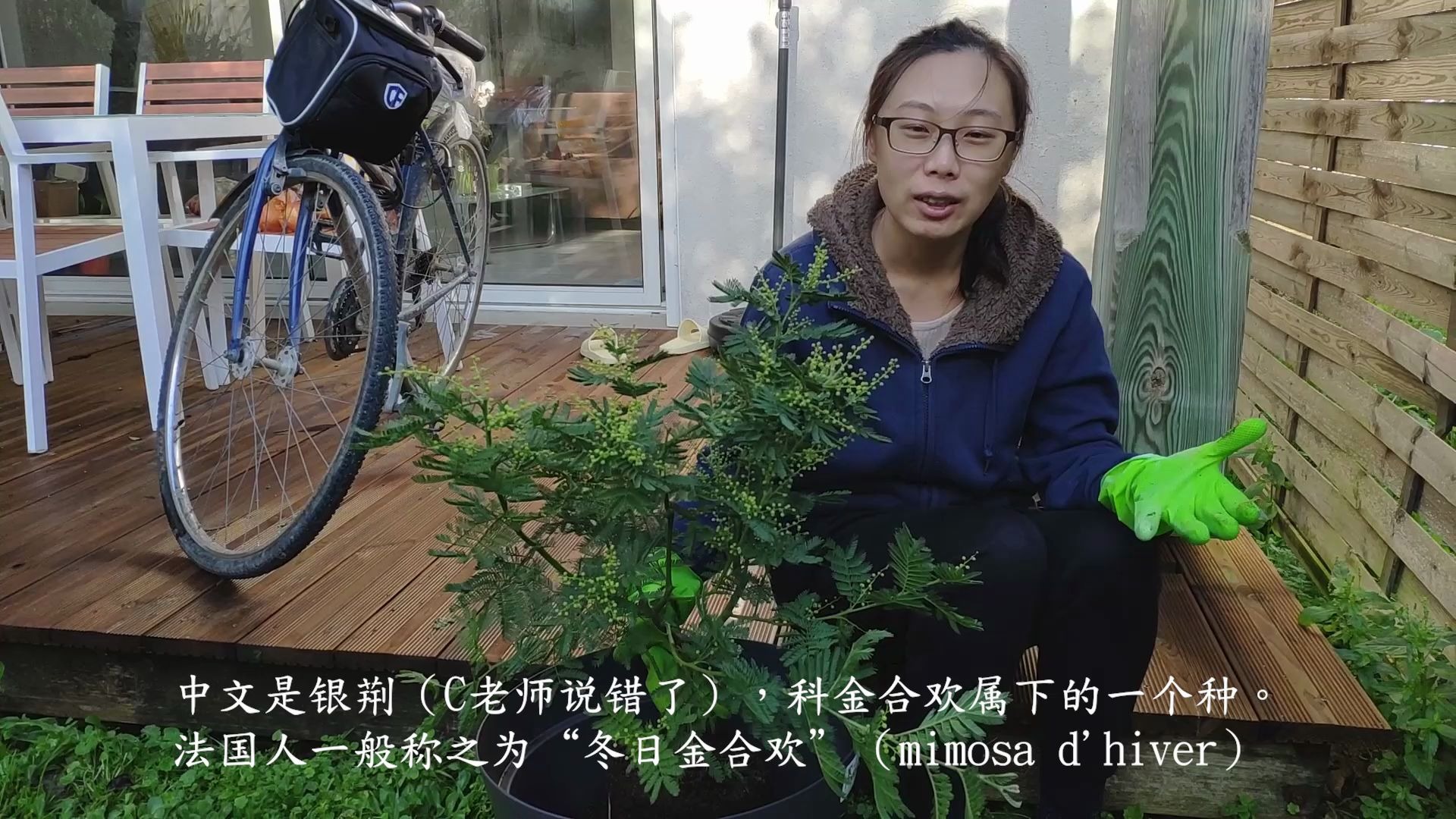 合欢视频安卓APP安装官方指南-第1张图片