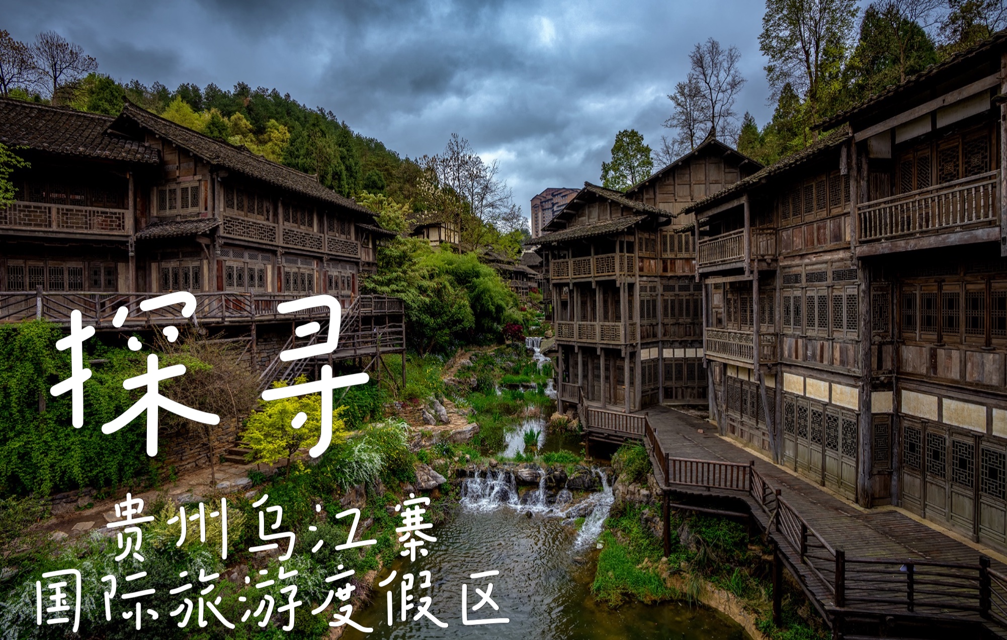 B站仙踪林，探寻网络世界的神秘角落-第2张图片