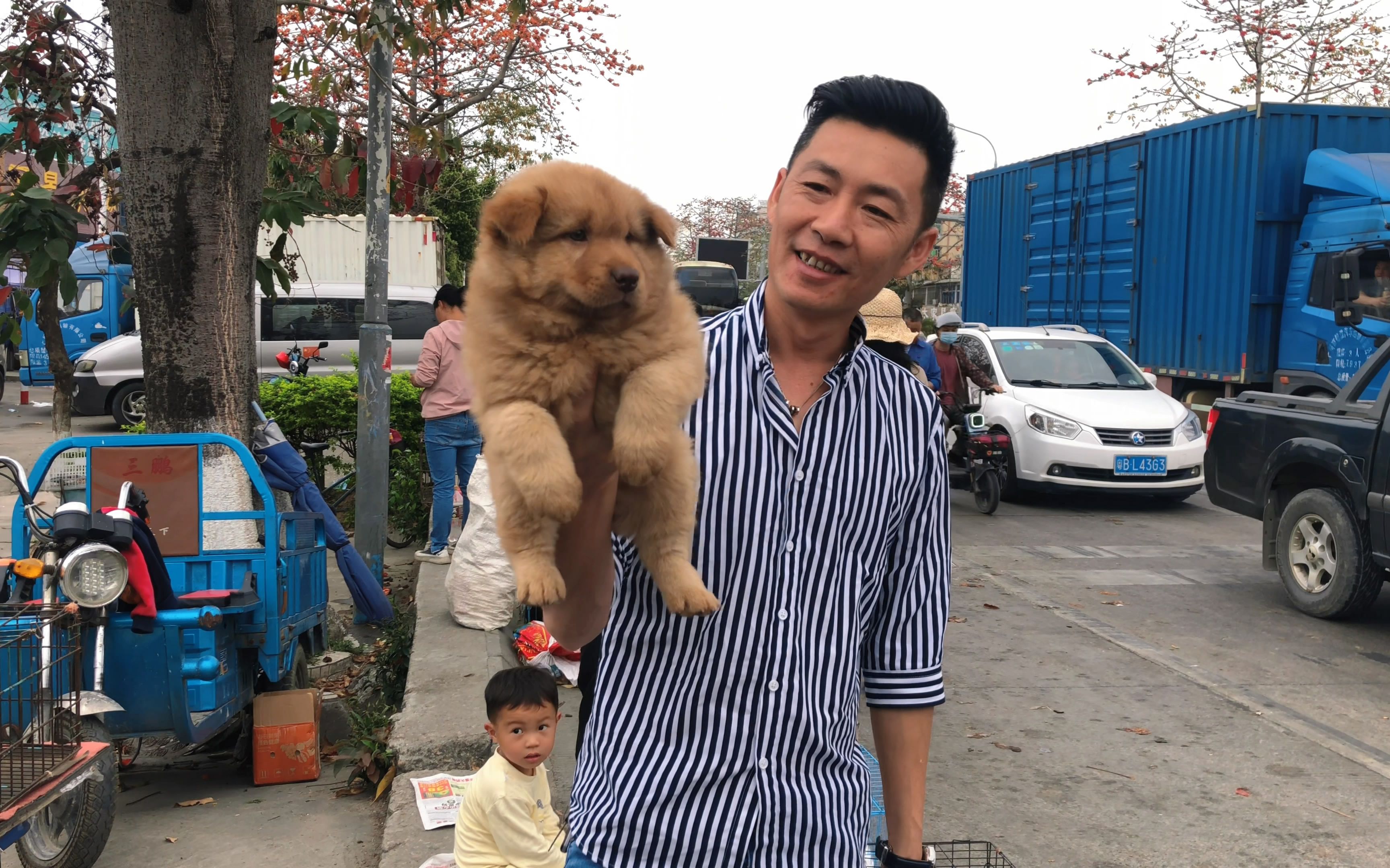 魔鬼公交车上的小黄说说-第3张图片