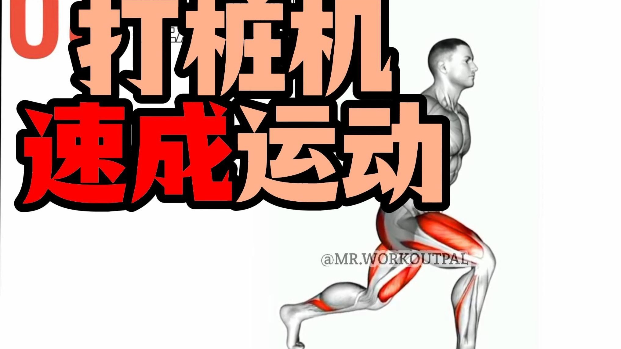 狗狗的速度是人的几倍狗狗的速度，如打桩机般迅猛