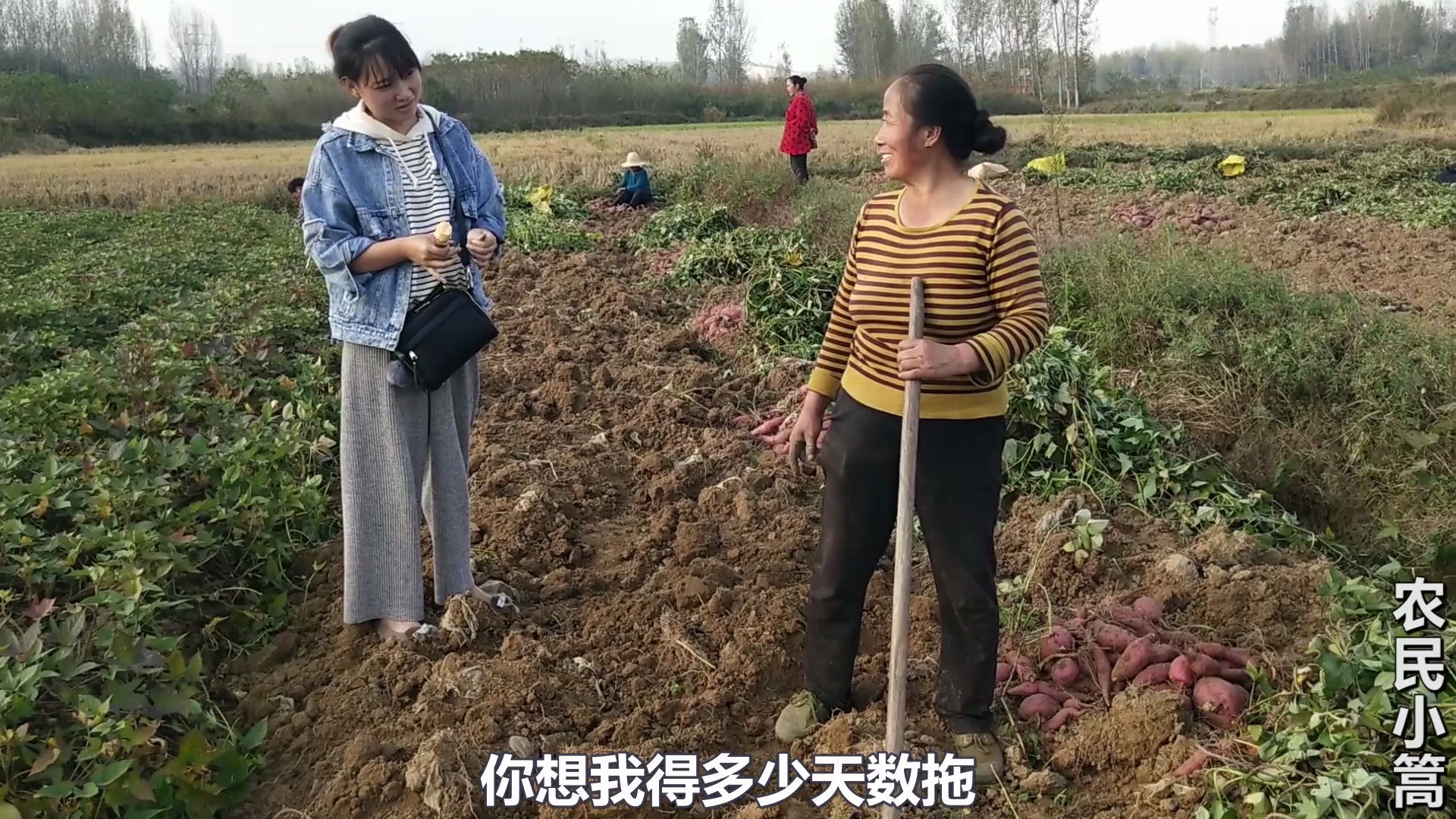 老阿姨一直叫BILIBILI_第1集老阿姨的BILIBILI之旅
