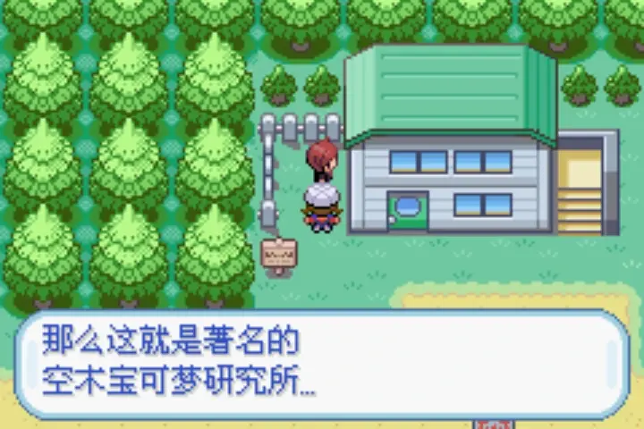 口袋怪兽金手指，游戏中的魔法助手