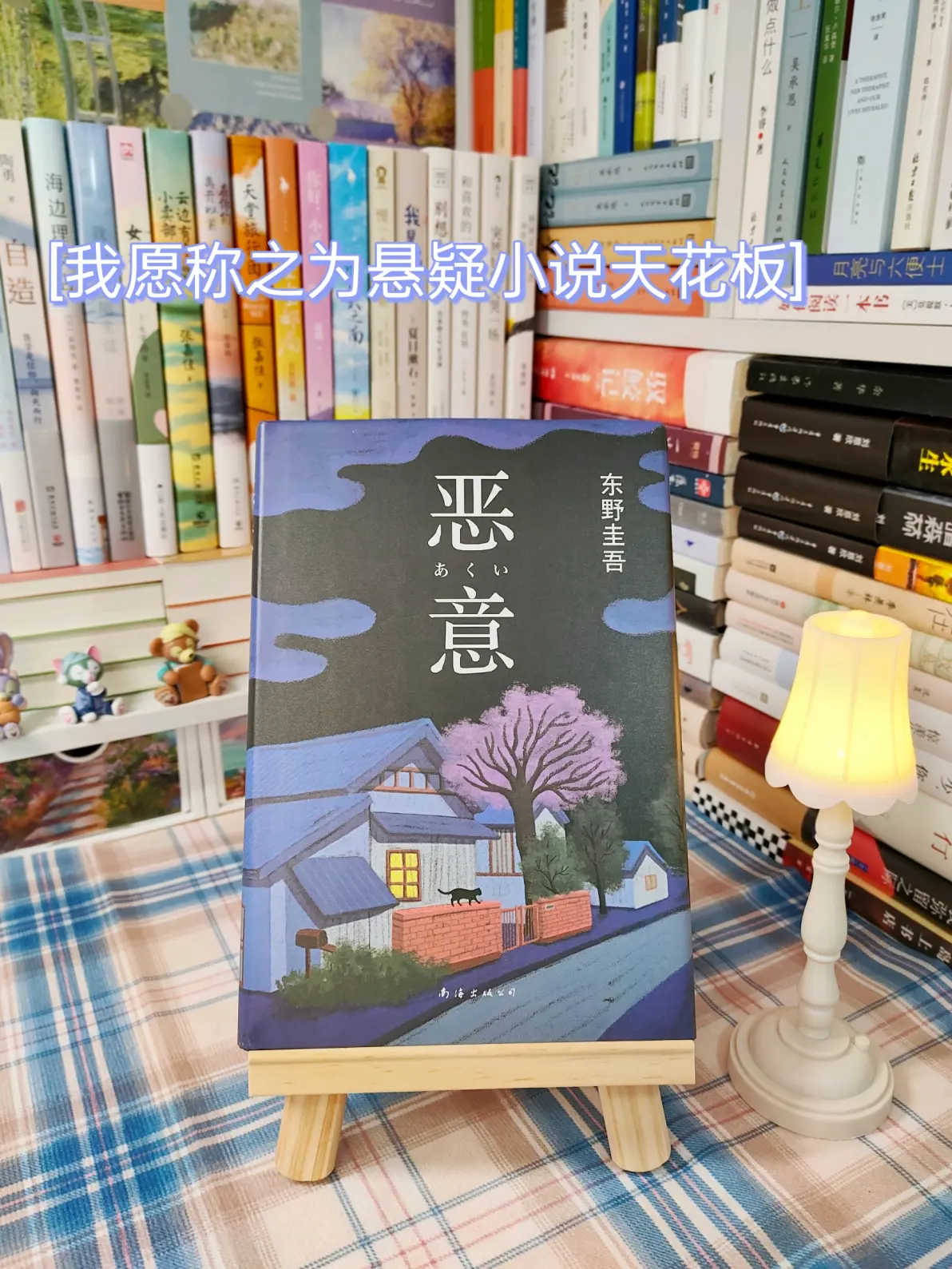 B毛的魅力与故事