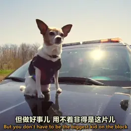 2012年中文电影字幕的移动在线观看体验-第1张图片