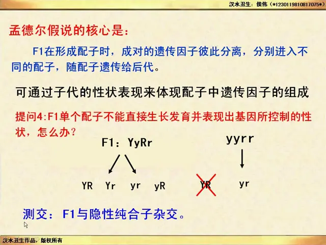 欧美自由性与杂交的探索-第2张图片