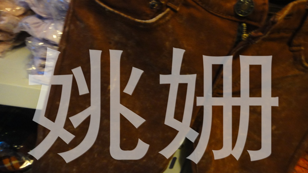 探索欧美无砖专区中的中文字体艺术-第3张图片