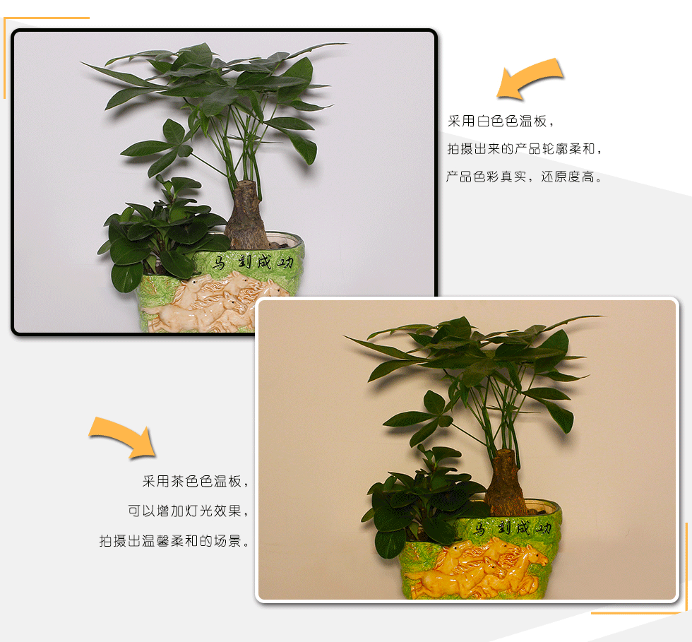 品色心动时刻品色心动时刻，探寻生活中的色彩魅力-第2张图片