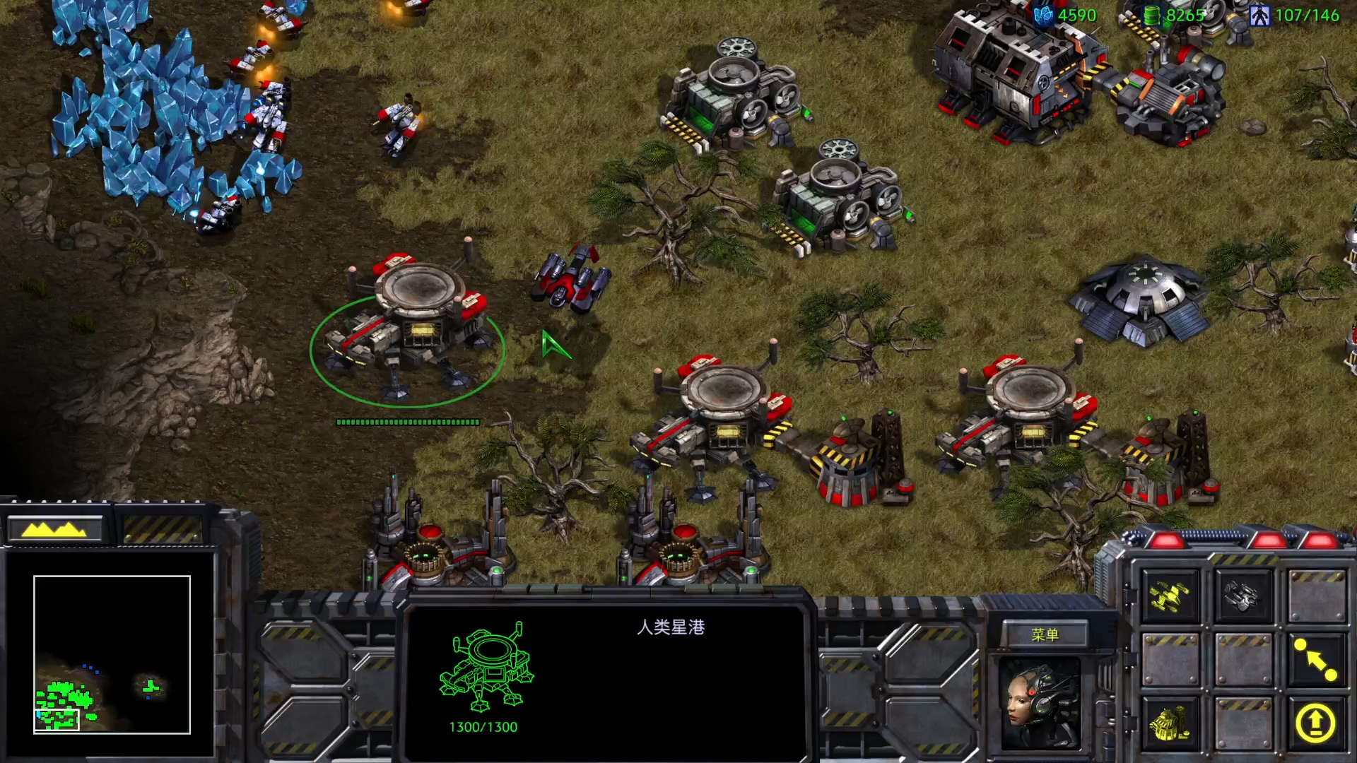 星际争霸1.16秘籍星际争霸1.16秘籍全攻略