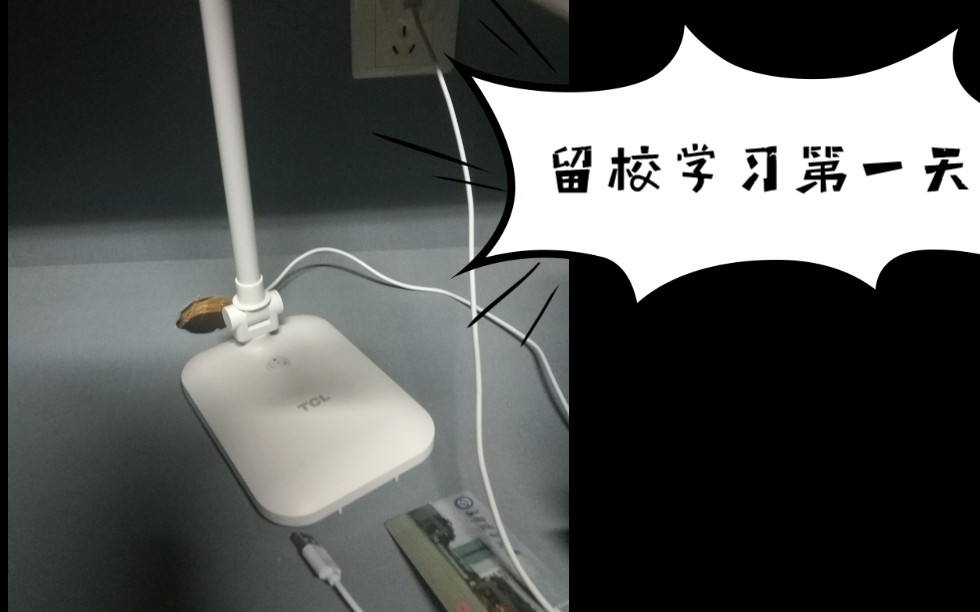深夜的探索，晚上睡不着偷偷看B站大全